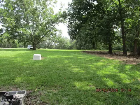 887 Independence Rd, Coldwater, MS 38618 photo 57