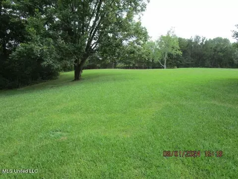 887 Independence Rd, Coldwater, MS 38618 photo 27