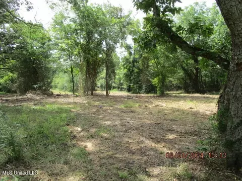 887 Independence Rd, Coldwater, MS 38618 photo 53