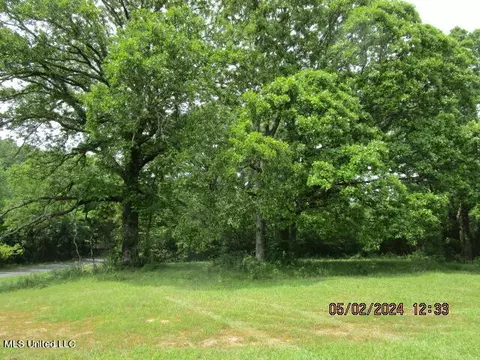 887 Independence Rd, Coldwater, MS 38618 photo 14
