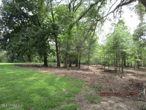 887 Independence Rd, Coldwater, MS 38618 photo 56