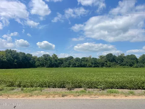 1338 Beulah Rd, Beulah, MS 38726 photo 3