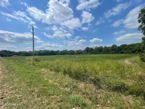 1338 Beulah Rd, Beulah, MS 38726 photo 4