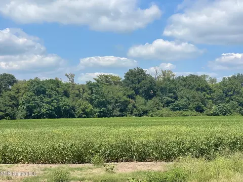 1338 Beulah Rd, Beulah, MS 38726