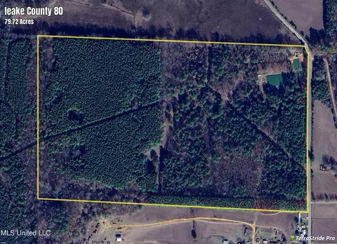 3354 Swamp Rd, Carthage, MS 39051