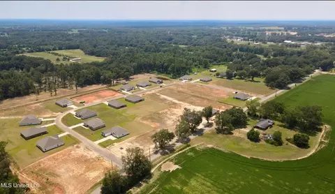 209 E Fire Department Rd, Lucedale, MS 39452 photo 4