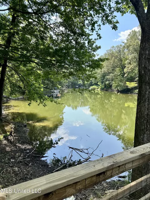 View/Area - 10935 Loch Venarcher Cv, Hernando, MS 38632 photo 1 of 4