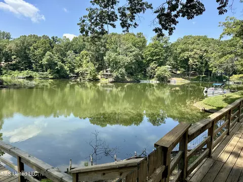 View/Area - 10935 Loch Venarcher Cv, Hernando, MS 38632 photo 3 of 4