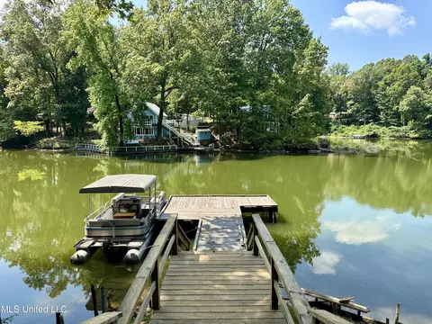 View/Area - 10935 Loch Venarcher Cv, Hernando, MS 38632 photo 2 of 4