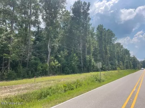 Tanner Williams Rd -parcel 7, Lucedale, MS 39452 photo 4