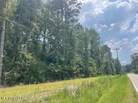 Tanner Williams Rd -parcel 7, Lucedale, MS 39452 photo 3