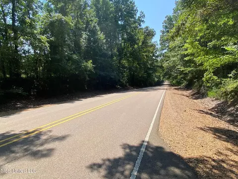 0 Stateline Rd, Walls, MS 38680 photo 2