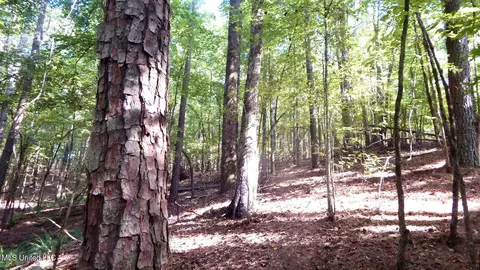 414 247 Country Rd, Bruce, MS 38915