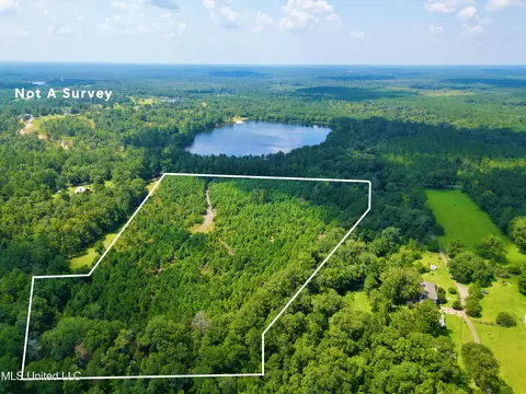 Nhn Silver Run Road, Poplarville, MS 39470