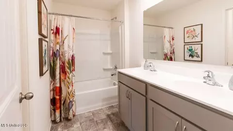 Bath - 2075 Hyacinth Ln, Hernando, MS 38632 photo 2 of 2