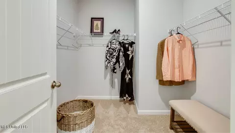 Other - 2075 Hyacinth Ln, Hernando, MS 38632 photo 4 of 5