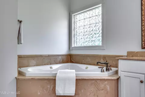 Bath - 166 Brookstone Way, Madison, MS 39110 photo 5 of 10
