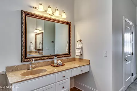 Bath - 166 Brookstone Way, Madison, MS 39110 photo 6 of 10