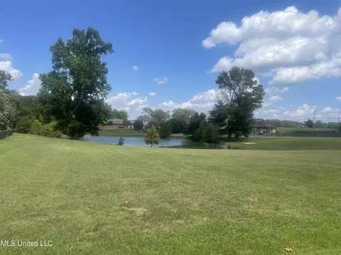Other - 3630 Tanna Cv, Hernando, MS 38632 photo 4 of 4