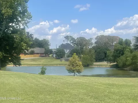View/Area - 3630 Tanna Cv, Hernando, MS 38632 photo 1 of 1