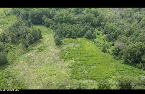 03 Mowdy Rd, Walnut Grove, MS 39189 photo 2