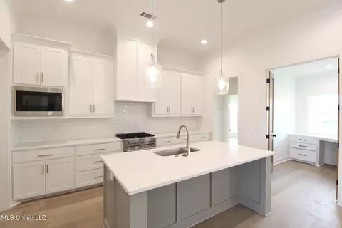 Kitchen - 433 Baleigh Way, Canton, MS 39046 photo 1 of 5
