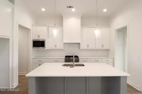 Kitchen - 433 Baleigh Way, Canton, MS 39046 photo 5 of 5