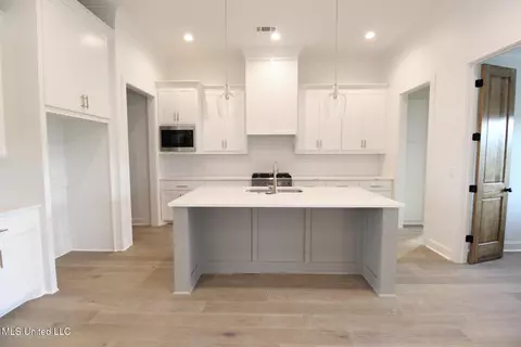 Other - 433 Baleigh Way, Canton, MS 39046 photo 2 of 8