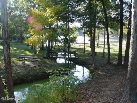 Other - 2290 Tahoe Cv, Nesbit, MS 38651 photo 15 of 17