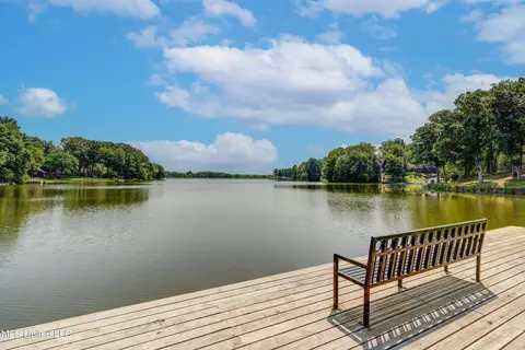 View/Area - 2290 Tahoe Cv, Nesbit, MS 38651 photo 14 of 15