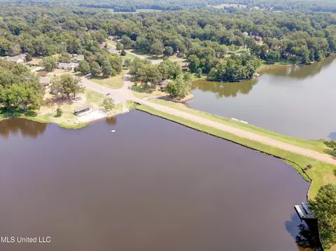 View/Area - 2290 Tahoe Cv, Nesbit, MS 38651 photo 8 of 15