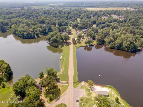 View/Area - 2290 Tahoe Cv, Nesbit, MS 38651 photo 10 of 15
