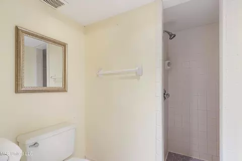 Bath - 2290 Tahoe Cv, Nesbit, MS 38651 photo 3 of 4