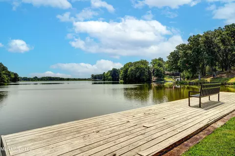 View/Area - 2290 Tahoe Cv, Nesbit, MS 38651 photo 13 of 15