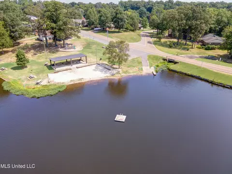 View/Area - 2290 Tahoe Cv, Nesbit, MS 38651 photo 7 of 15