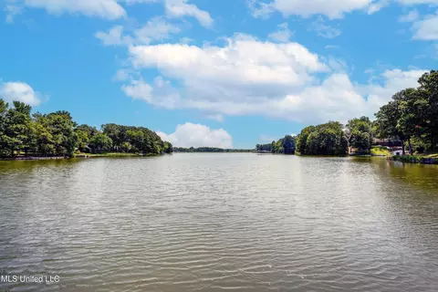 View/Area - 2290 Tahoe Cv, Nesbit, MS 38651 photo 15 of 15