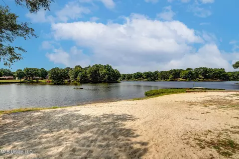 View/Area - 2290 Tahoe Cv, Nesbit, MS 38651 photo 12 of 15