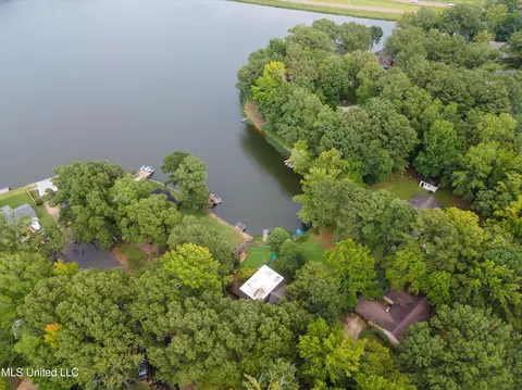 View/Area - 2290 Tahoe Cv, Nesbit, MS 38651 photo 3 of 15