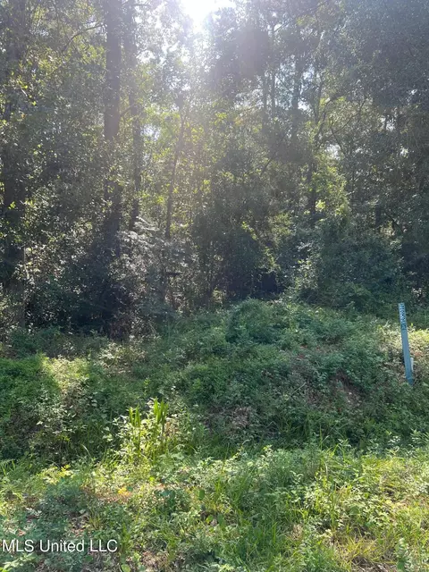 Sauer Drive, Waveland, MS 39576 photo 9