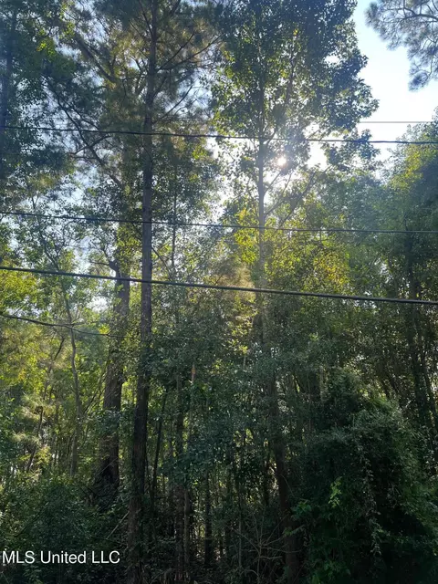 Sauer Drive, Waveland, MS 39576 photo 3