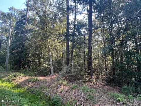 Sauer Drive, Waveland, MS 39576 photo 11