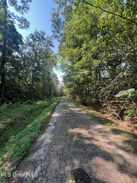 Sauer Drive, Waveland, MS 39576 photo 6