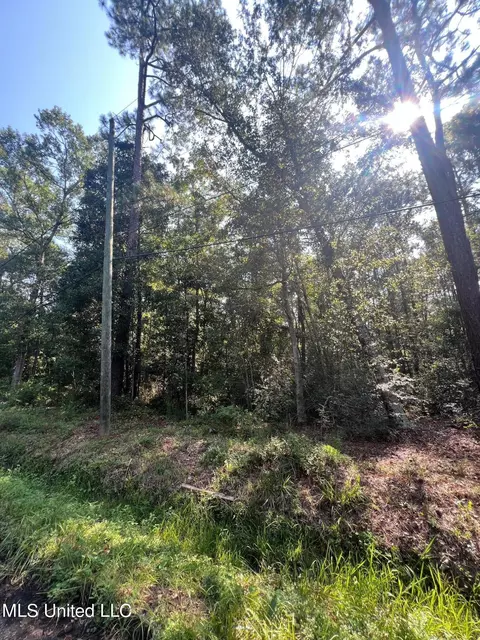 Sauer Drive, Waveland, MS 39576 photo 7