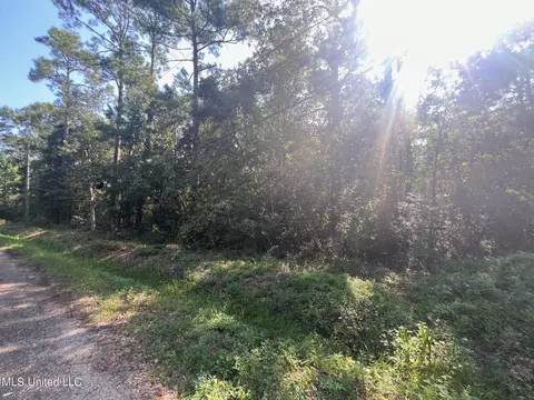 Sauer Drive, Waveland, MS 39576 photo 10