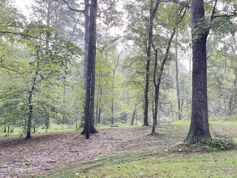 143 Timber Ln, Florence, MS 39073 photo 32
