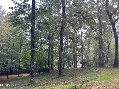 143 Timber Ln, Florence, MS 39073 photo 30