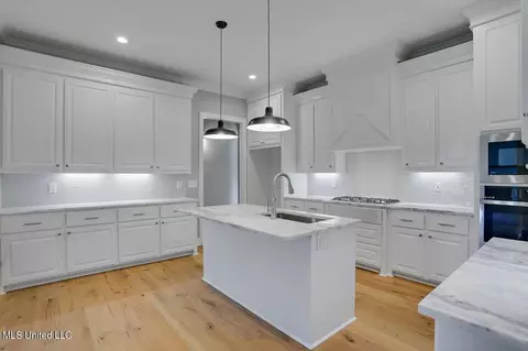 Kitchen - 112 Charleston Cv, Madison, MS 39110 photo 3 of 3