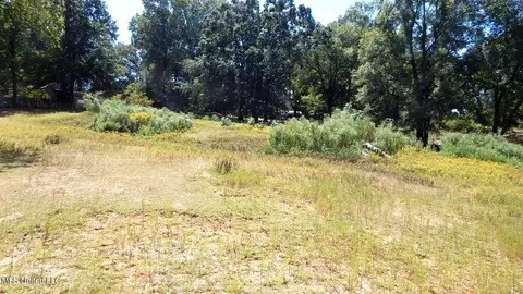 139 Oakdale Rd, Coldwater, MS 38618
