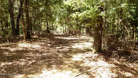 142 Oakdale Rd, Coldwater, MS 38618 photo 10