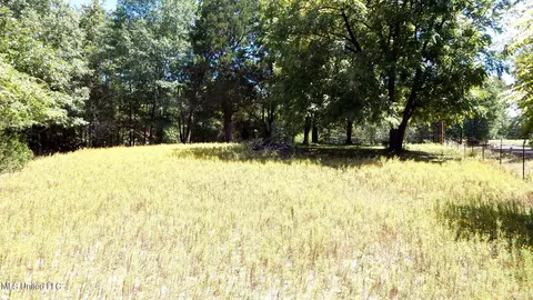 142 Oakdale Rd, Coldwater, MS 38618 photo 6